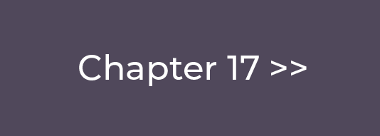 Chapter 17  